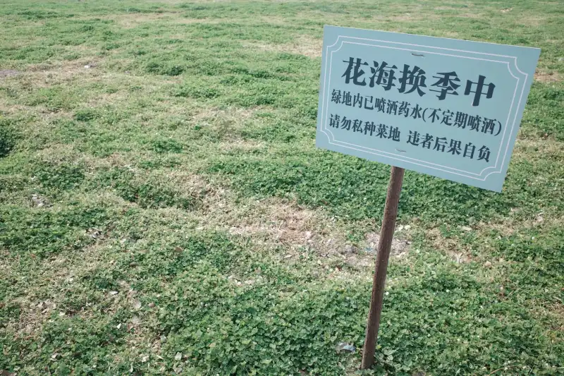 2025年西南地区品牌策划行业技术发展与应用前景展望
