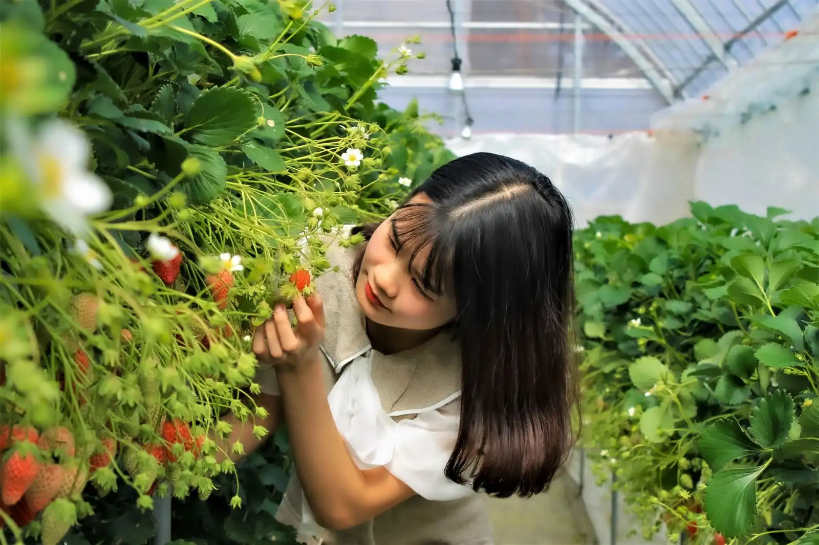 2025年西南地区中小企业管理规范化与品牌价值提升路径分析