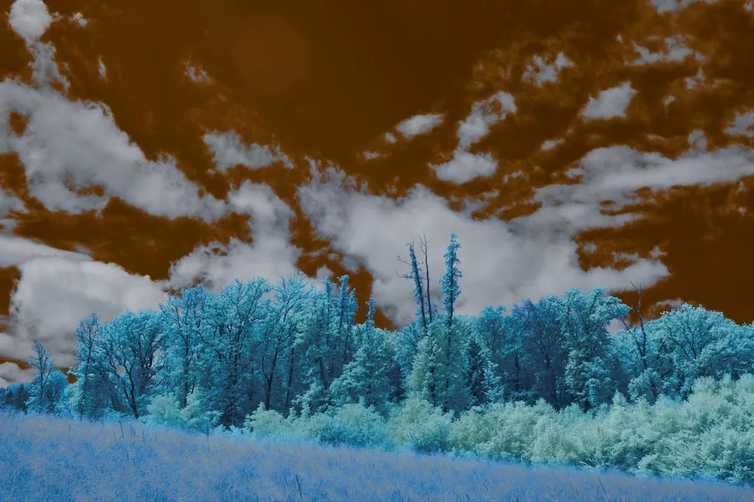 商务咨询与品牌策划服务对比：跃晟创亿助力西南企业差异化发展