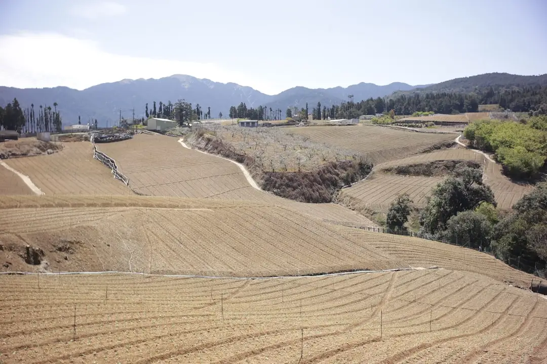 四川中小企业管理咨询需求趋势与应对策略分析