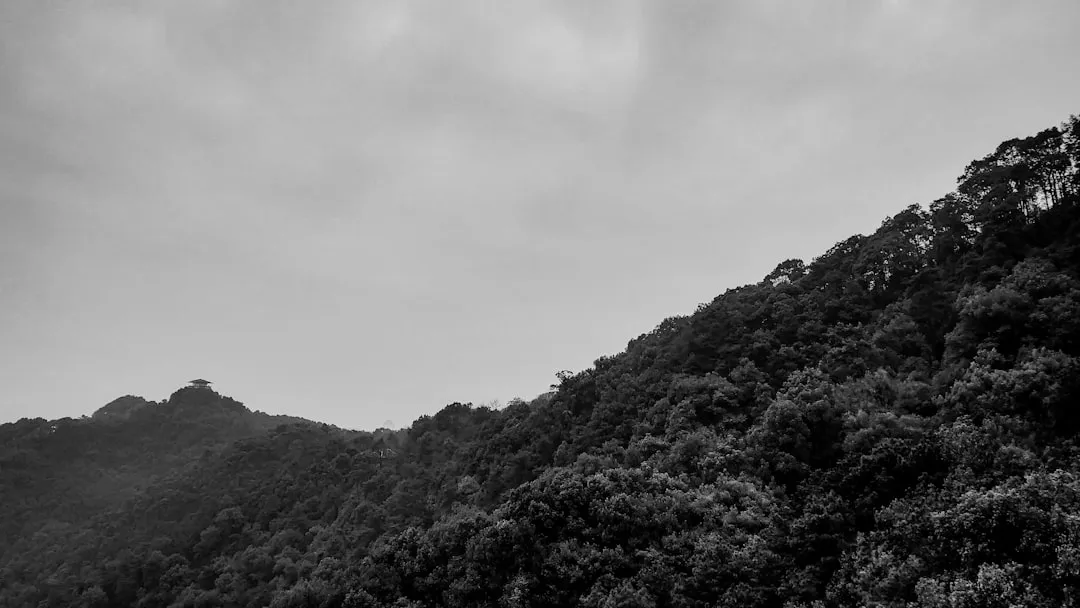 从品牌诊断到落地执行:四川商务咨询项目全流程方案解析