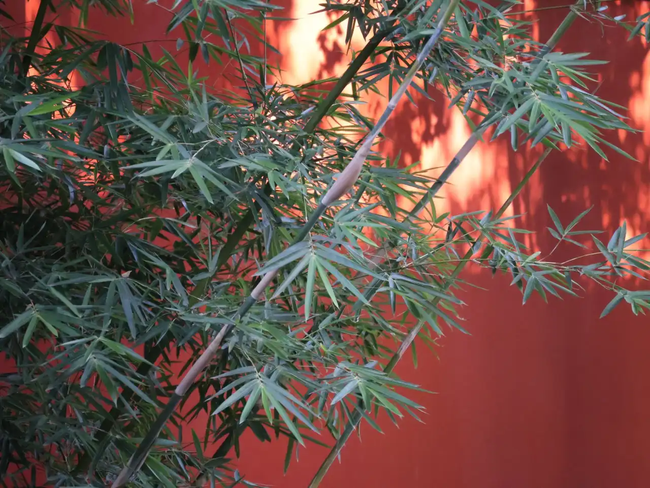 四川中小企业管理提升新趋势：商务咨询如何助力企业规范化运营正文配图 1
