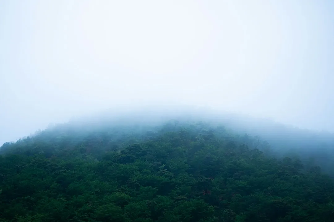 四川中小企业管理规范化常见误区与改进策略