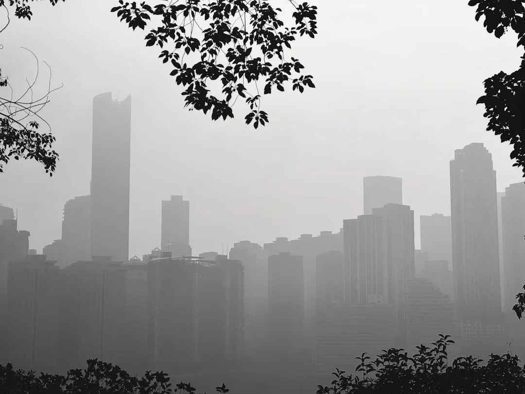 2024年商务咨询行业趋势与四川企业管理提升方案